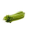 Fresh Whole Celery 1 Each Bag
