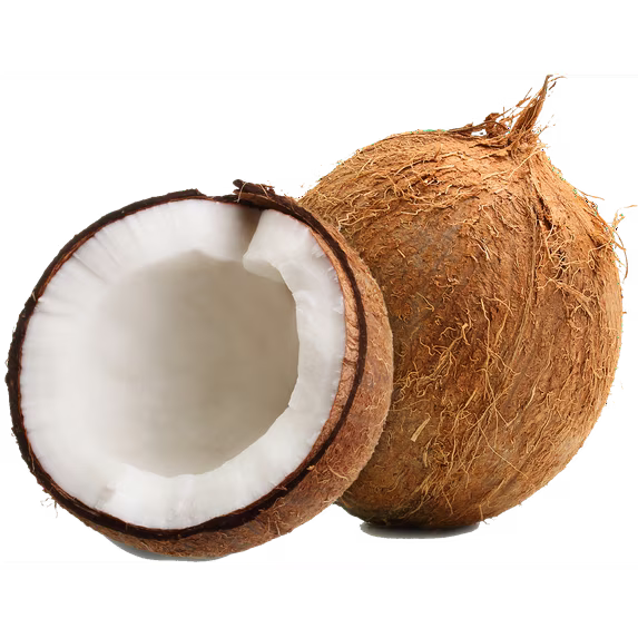 Fresh Coconut, Each