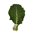 Fresh Collard Greens, Bunch