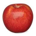 Envy Apple Fresh Each