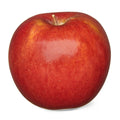 Envy Apple Each