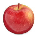 Fresh Fuji Apple Each