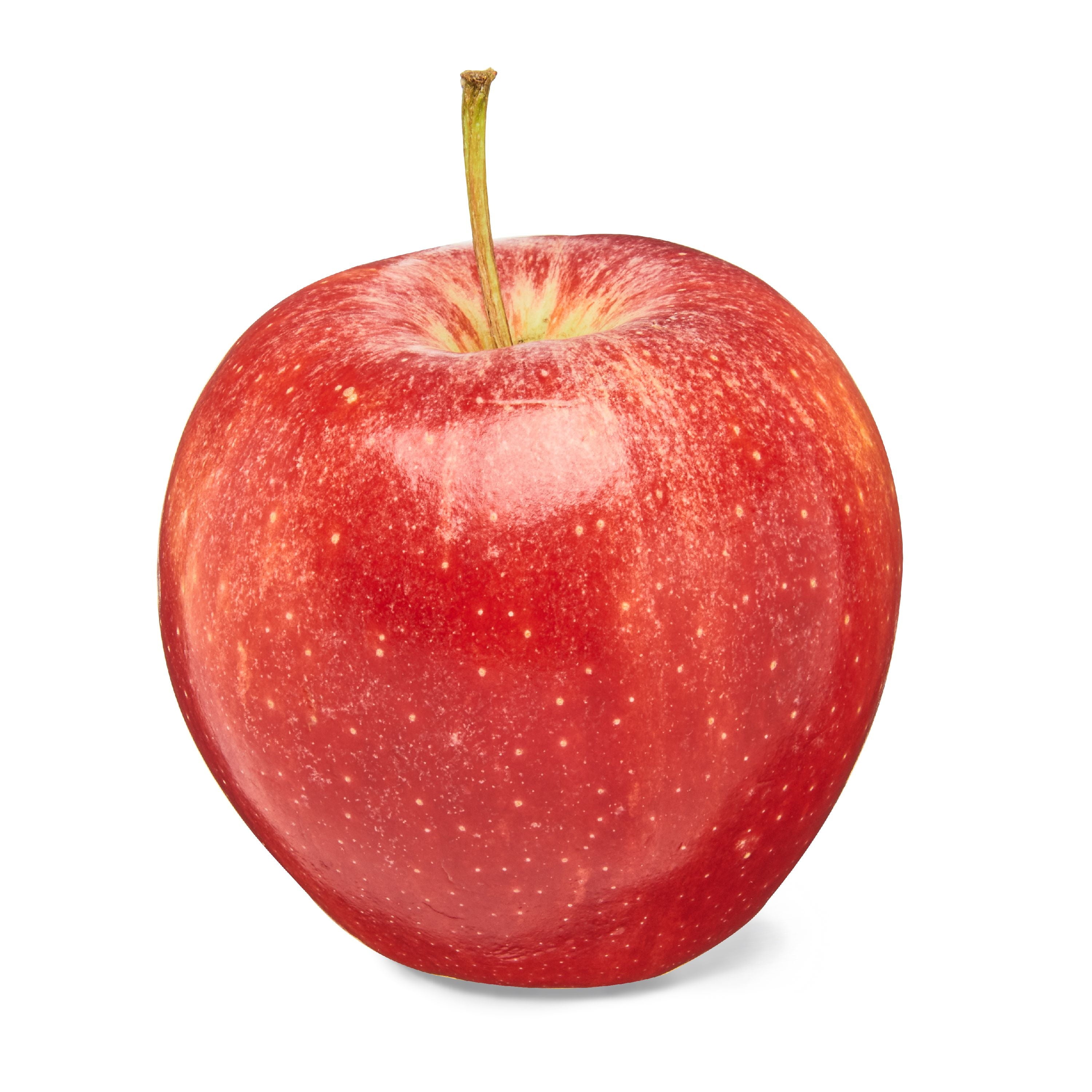 Fresh Gala Apple Each