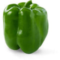 Fresh Green Bell Pepper Each