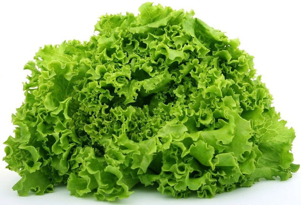 Fresh Green Leaf Lettuce Each