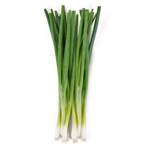 Fresh Whole Green Onion 1 Bunch