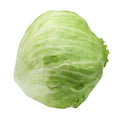 Fresh Iceberg Lettuce Each