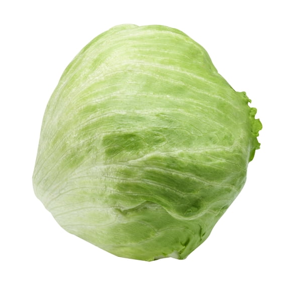 Fresh Iceberg Lettuce Each