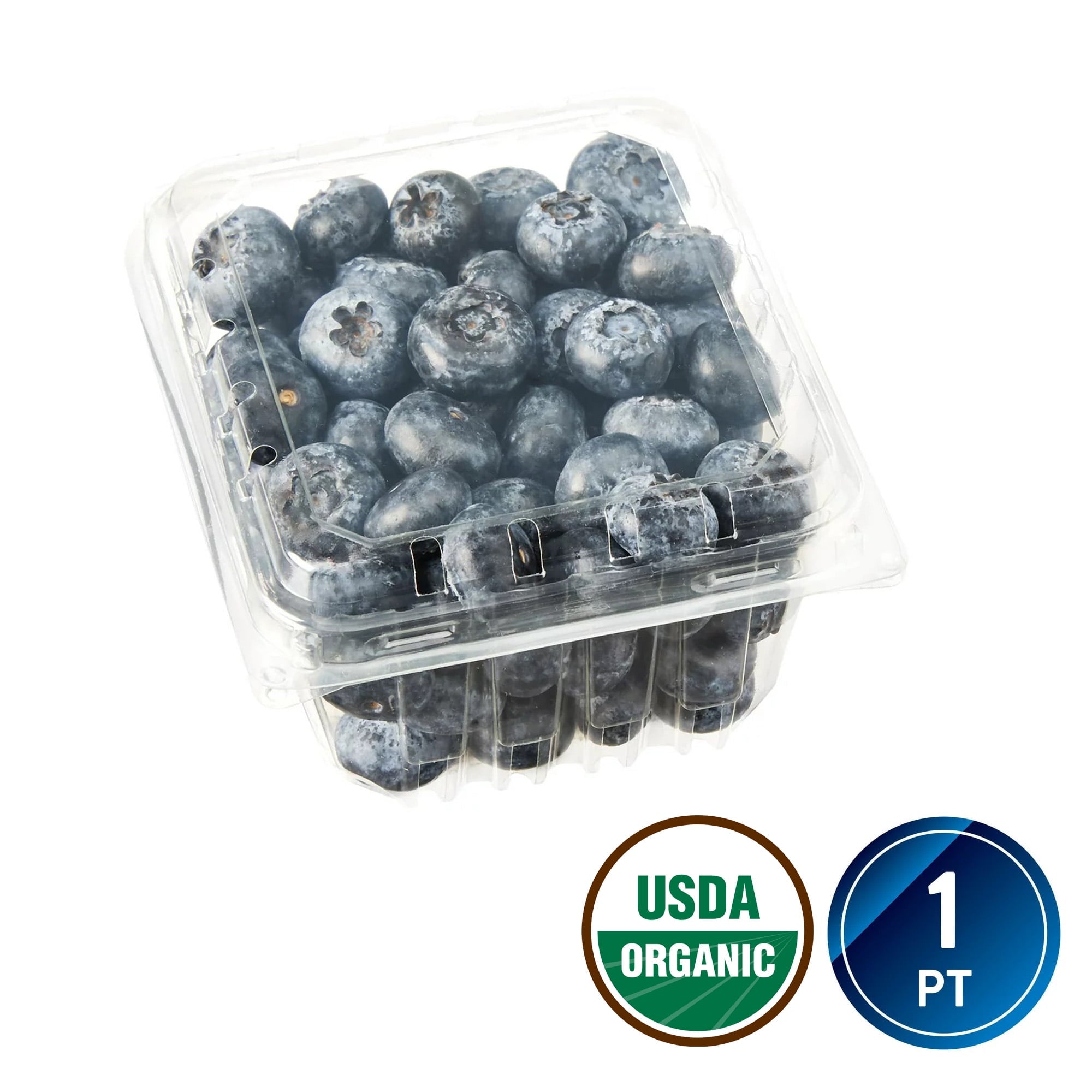 Fresh Organic Blueberries 11 Oz Container