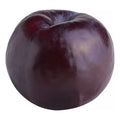 Fresh Plum, Each