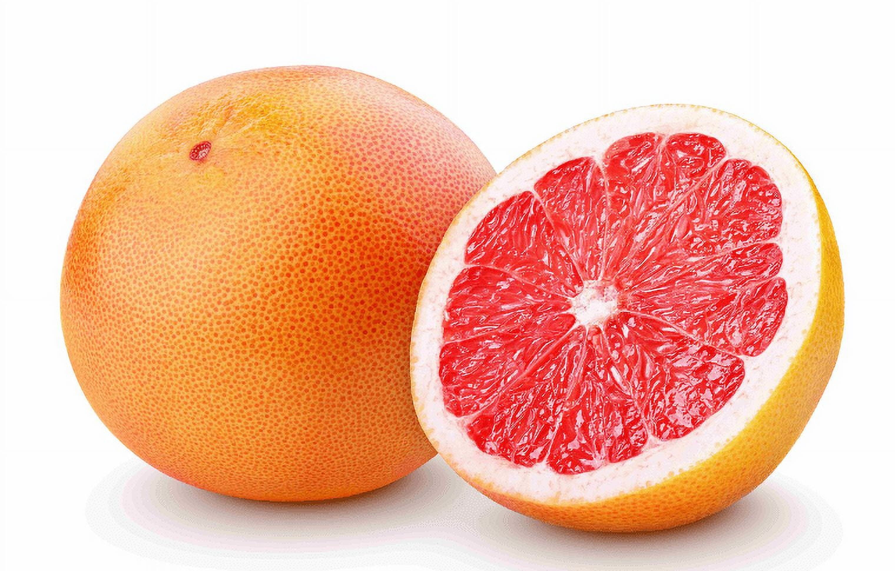 Fresh Grapefruit Each