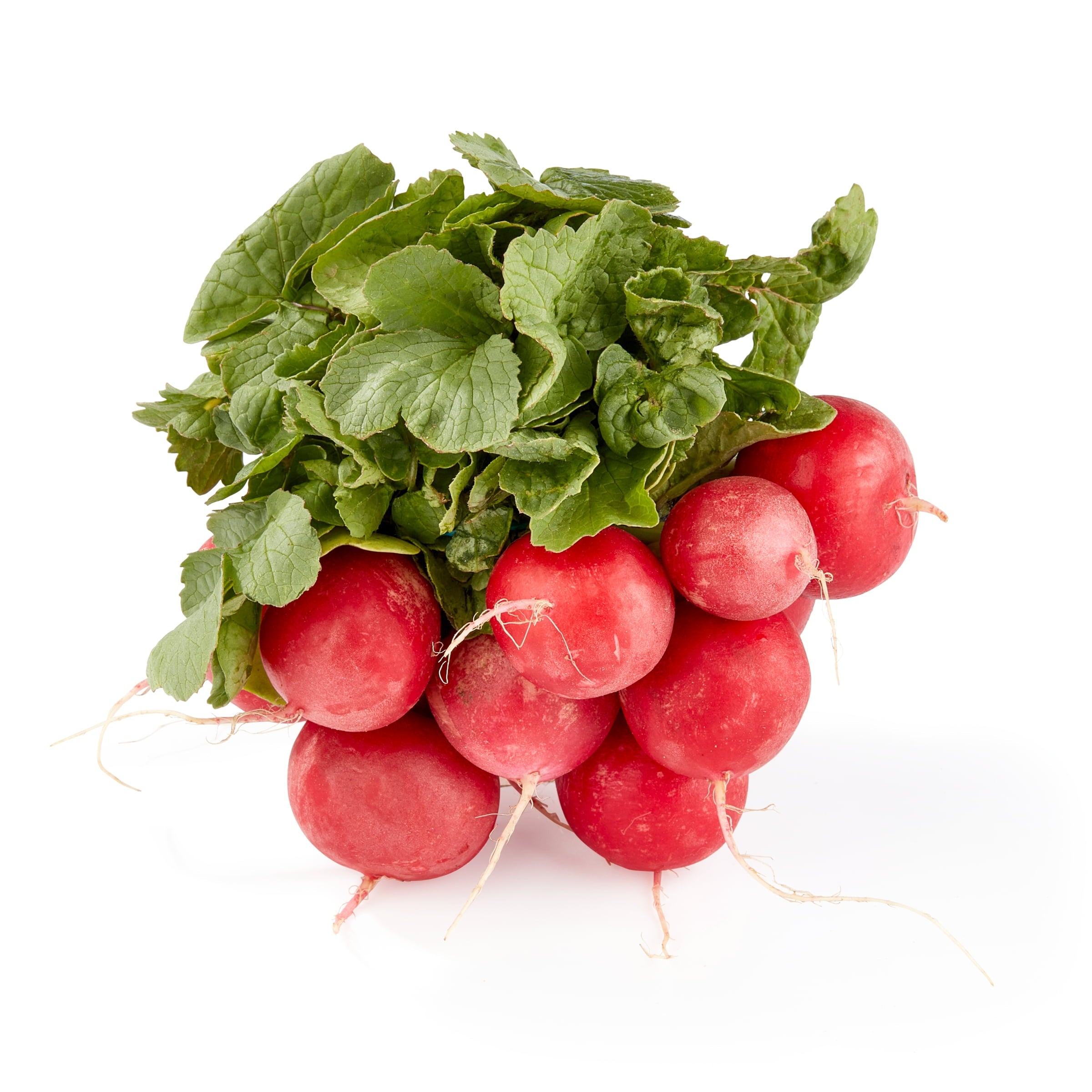 Fresh Whole Red Radish 1 Bunch
