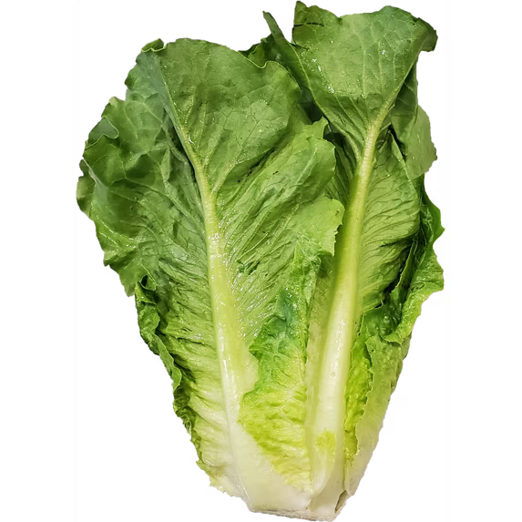 Fresh Romaine Lettuce, Each