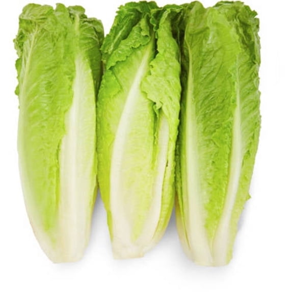 Fresh Romaine Lettuce Hearts 3 Count Each