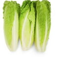 Fresh Romaine Lettuce Hearts 3 Count Each