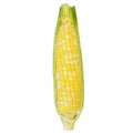 Fresh Sweet Corn On The Cob Each