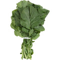 Fresh Turnip Greens Bunch