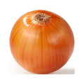 Fresh Whole Yellow Onion Each