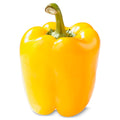Fresh Yellow Bell Pepper Each
