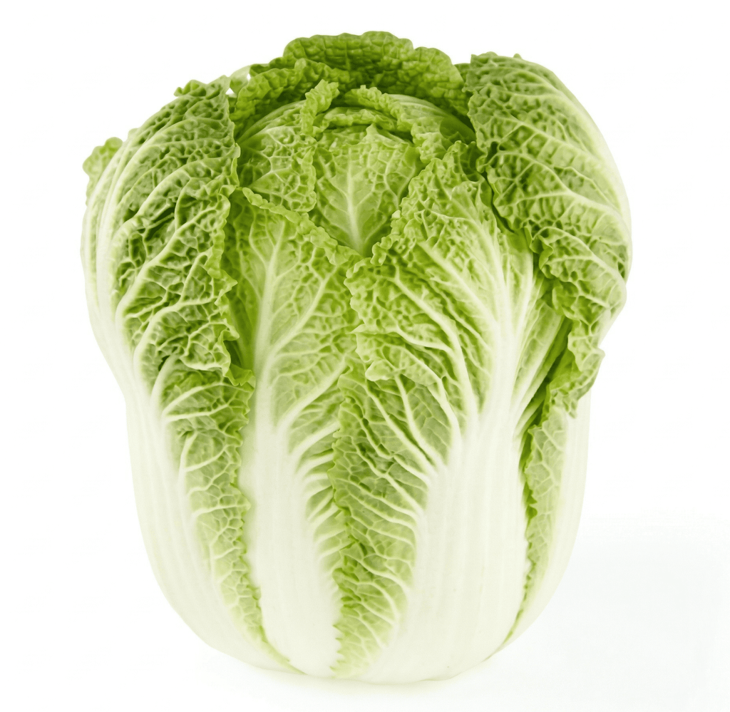 Fresh Whole Napa Cabbage Each