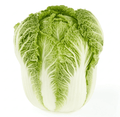 Fresh Whole Napa Cabbage Each