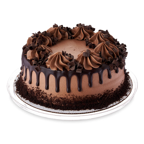 Chocolate Drip Cake 37 Oz 12 Servings Freshness Guaranteed
