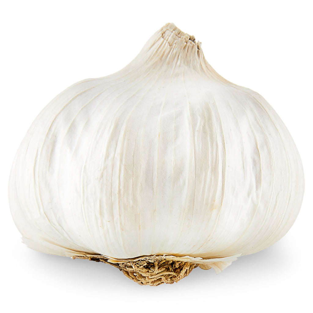Fresh Garlic Bulb Whole Each
