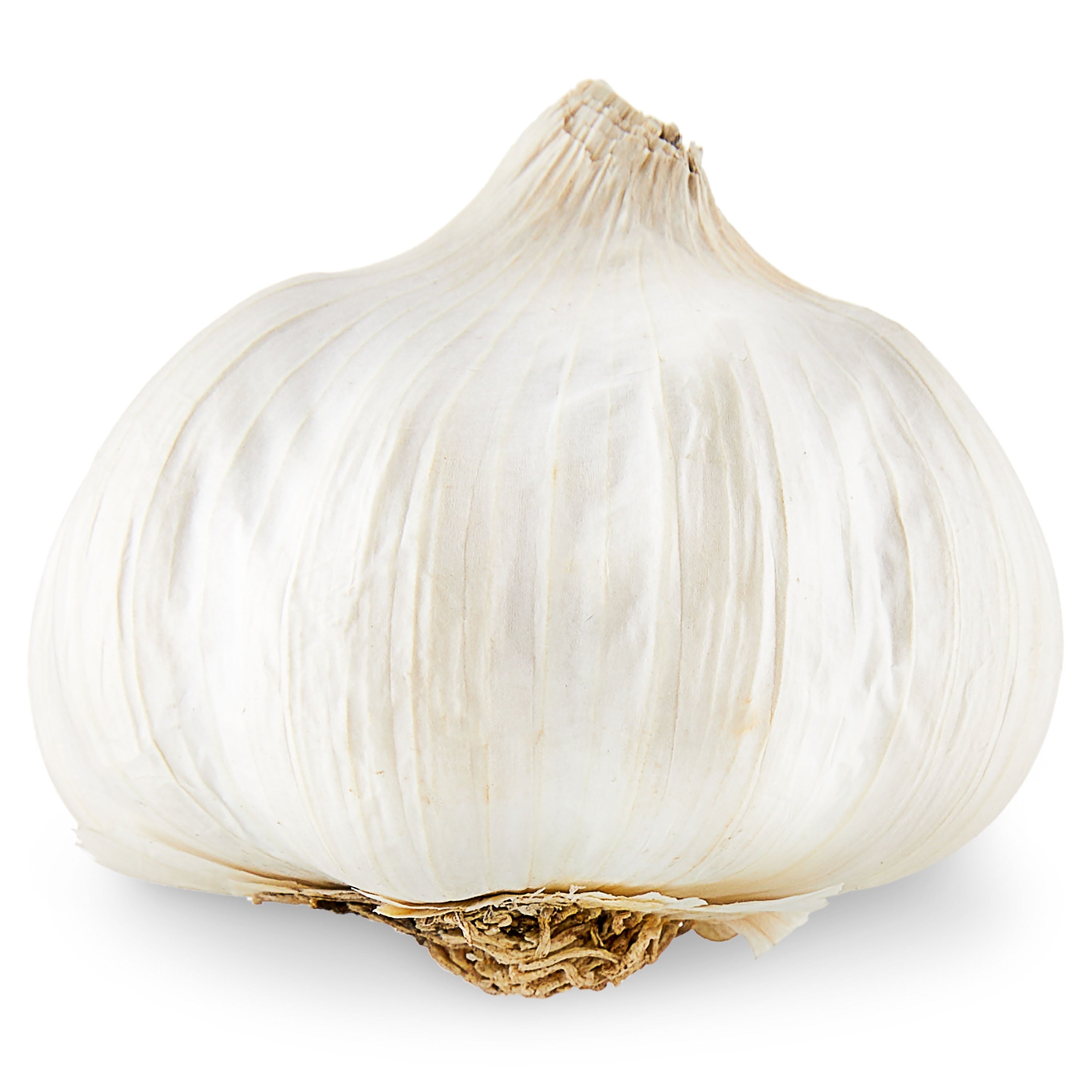 Fresh Garlic Bulb Whole Each