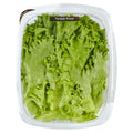 Green Leaf Lettuce Filet 7 Oz