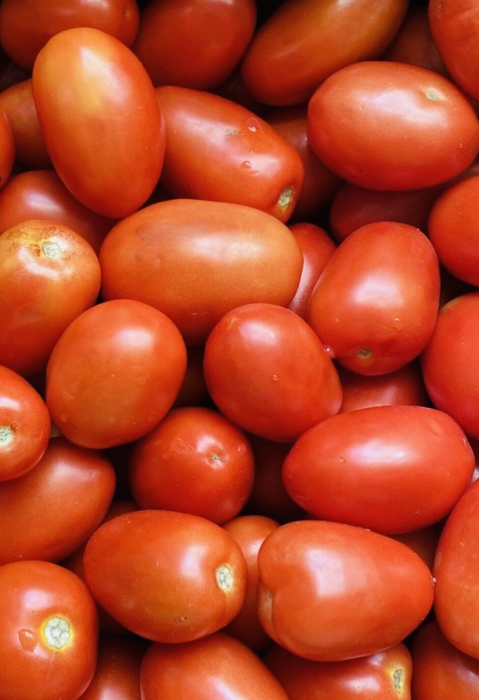 Roma Tomatoes (1 lb)