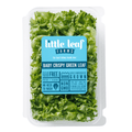 Baby Crispy Green Leaf Lettuce 8 Oz