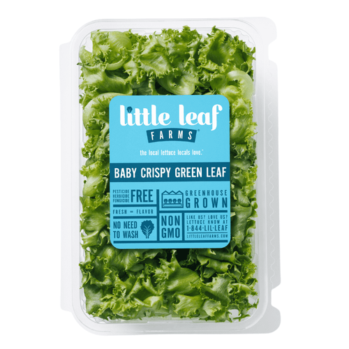 Baby Crispy Green Leaf Lettuce 8 Oz