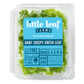 Little Leaf Farms Baby Crispy Green Leaf Salad 4 Oz Clam Shell