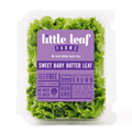 Fresh Little Leaf Farms Sweet Baby Butter Leaf Lettuce 4 Oz Clam Shell