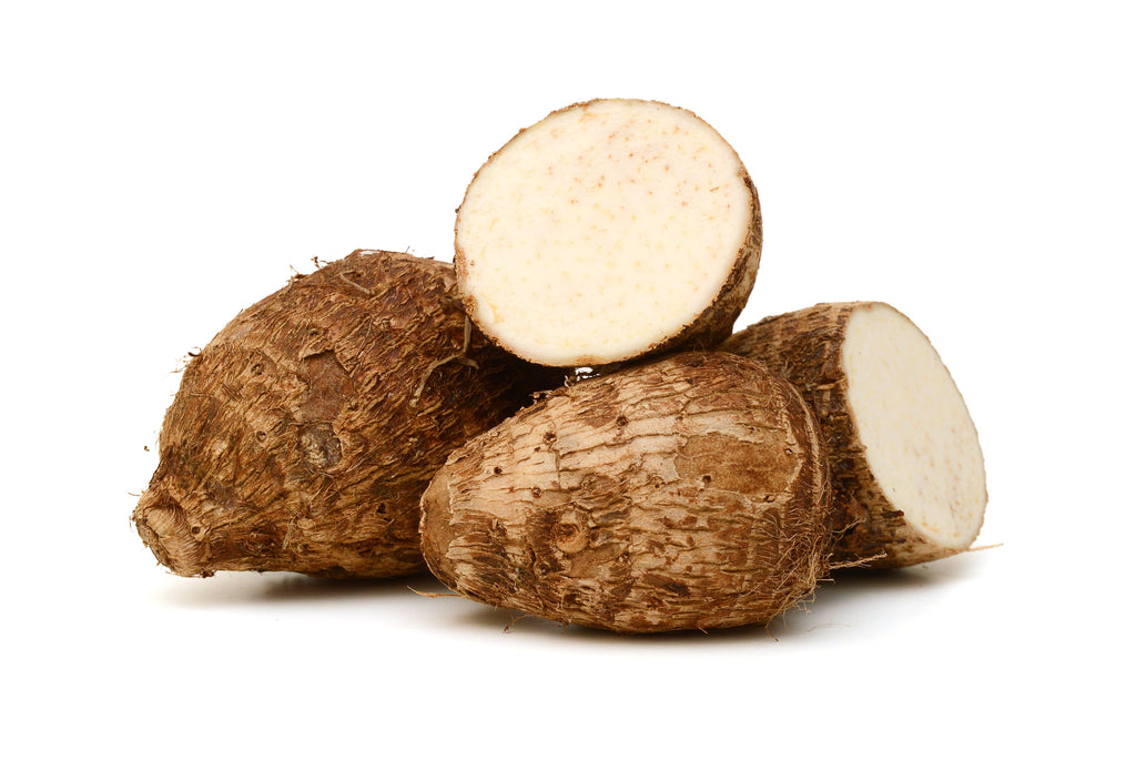 Malanga Root Whole Fresh Each