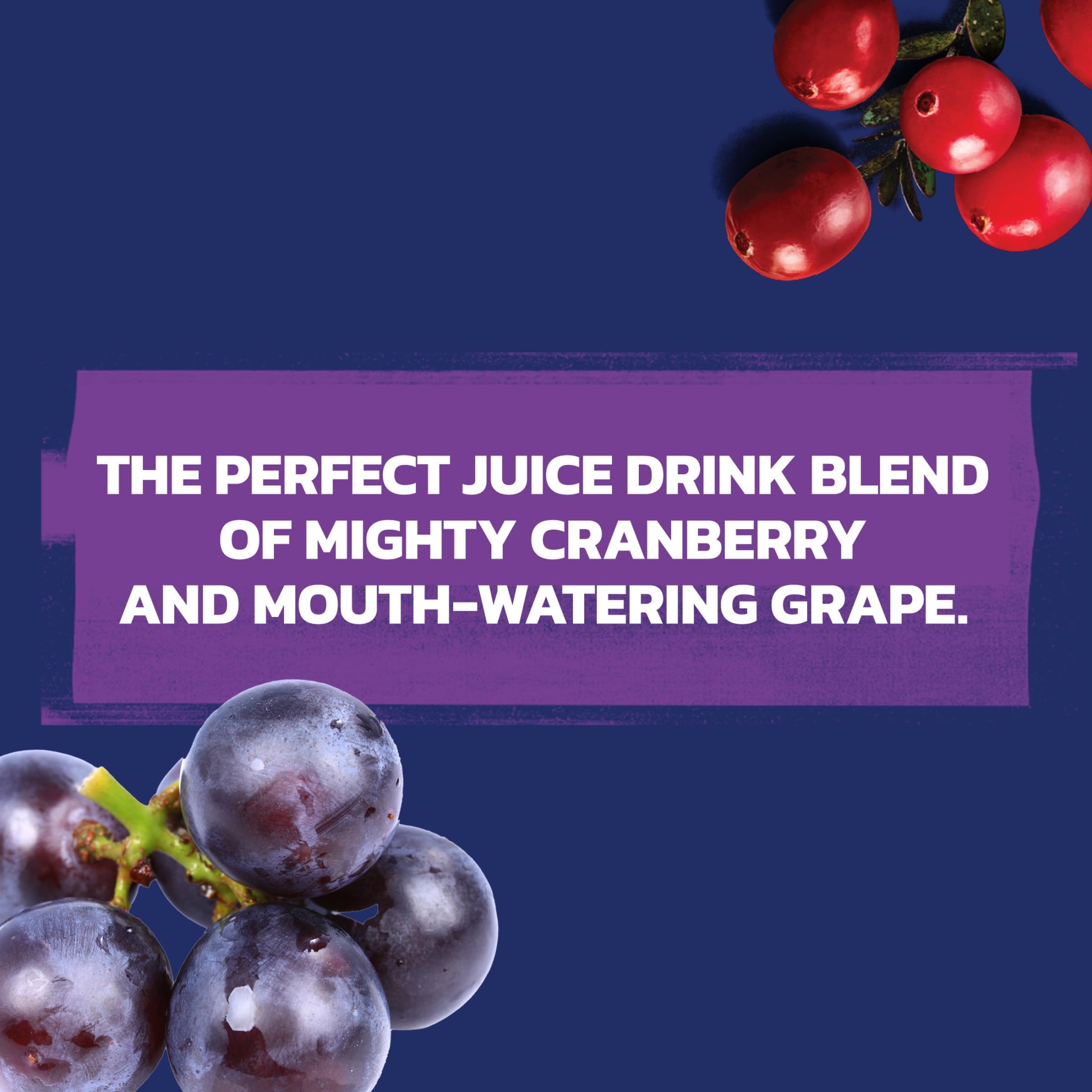 Ocean Spray Cran-Grape Cranberry Grape Juice Drink 10 fl oz Bottles 6 Count