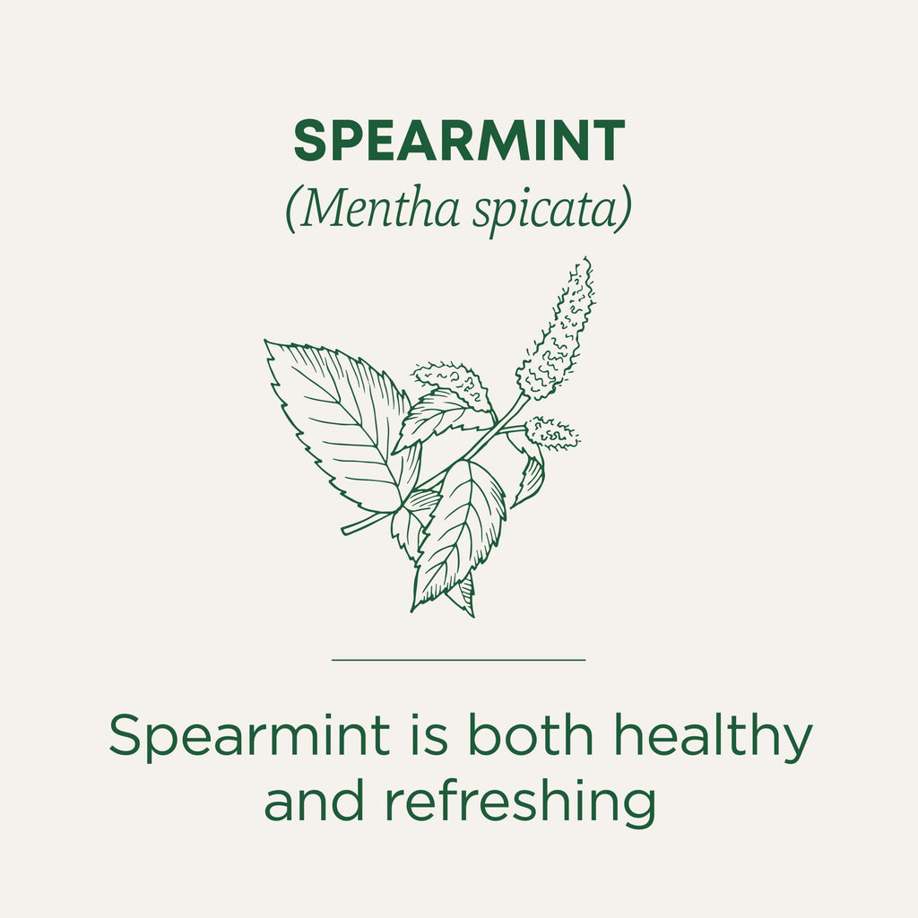 Traditional Medicinals Organic Spearmint Herbal Tea Bags Caffeine Free 16 Count