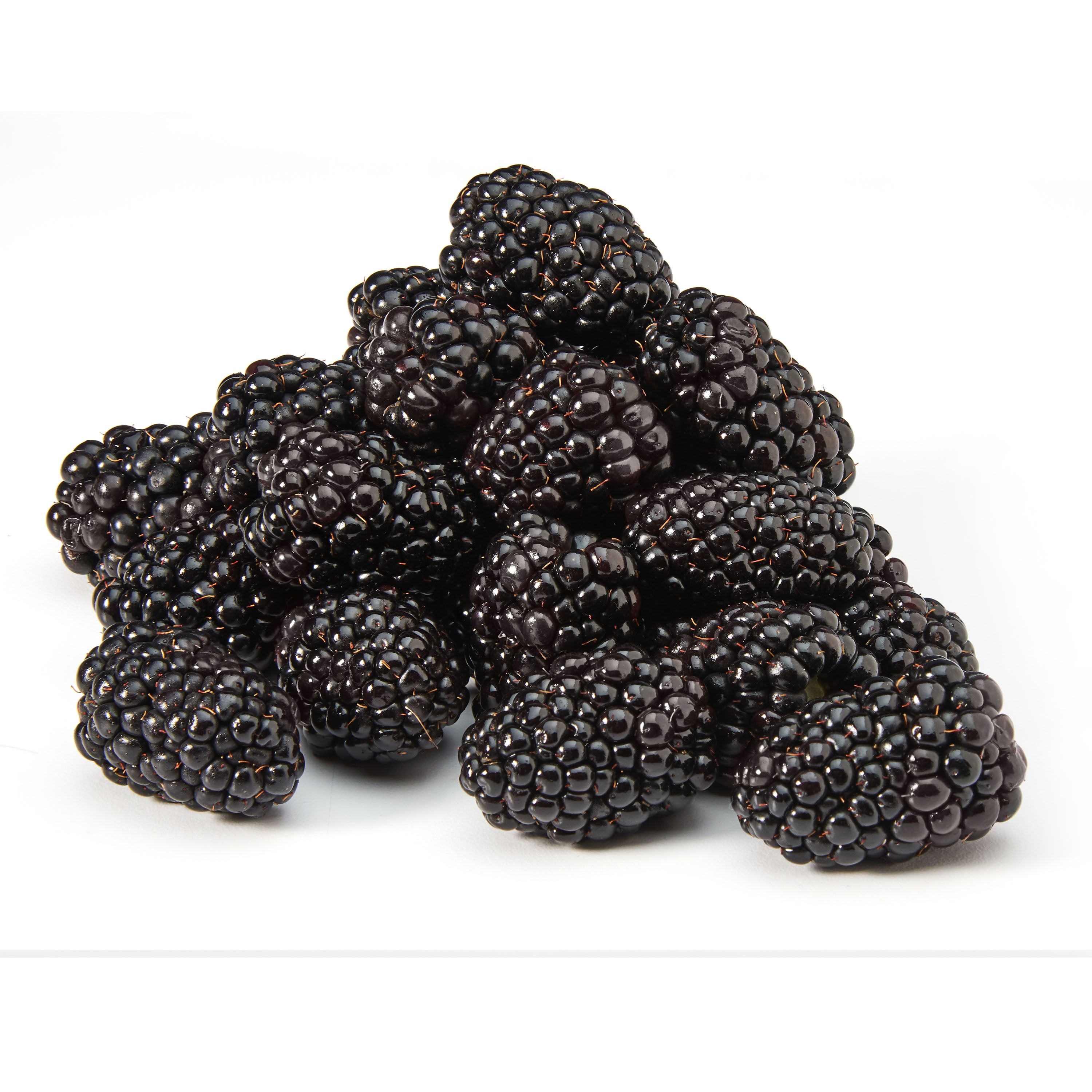 Fresh Blackberries 6 Oz Container