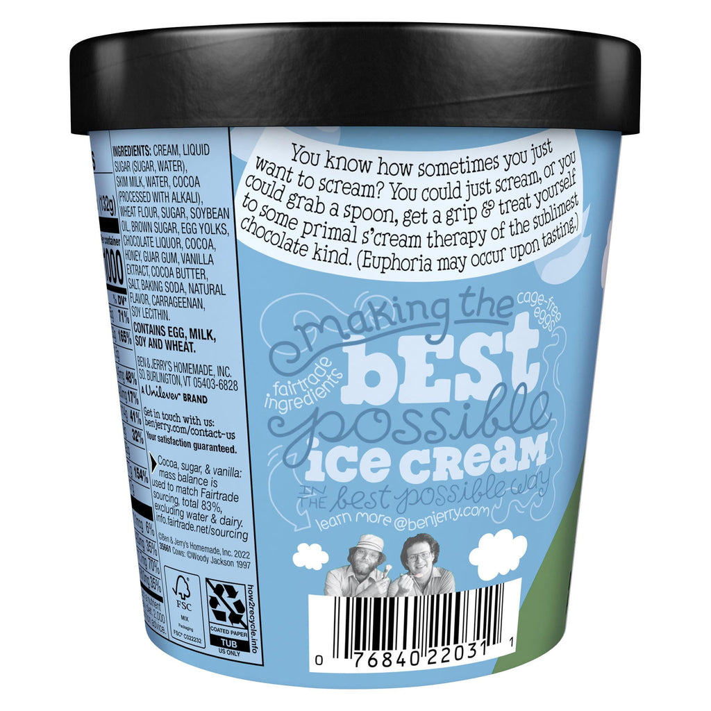 Ben & Jerry's Chocolate Fudge Brownie Ice Cream Pint 16 Fl Oz
