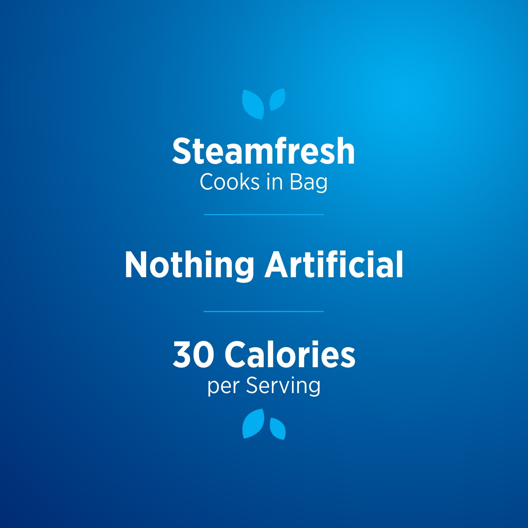 Birds Eye Steamfresh Broccoli Florets Frozen Vegetables 10.8 Oz