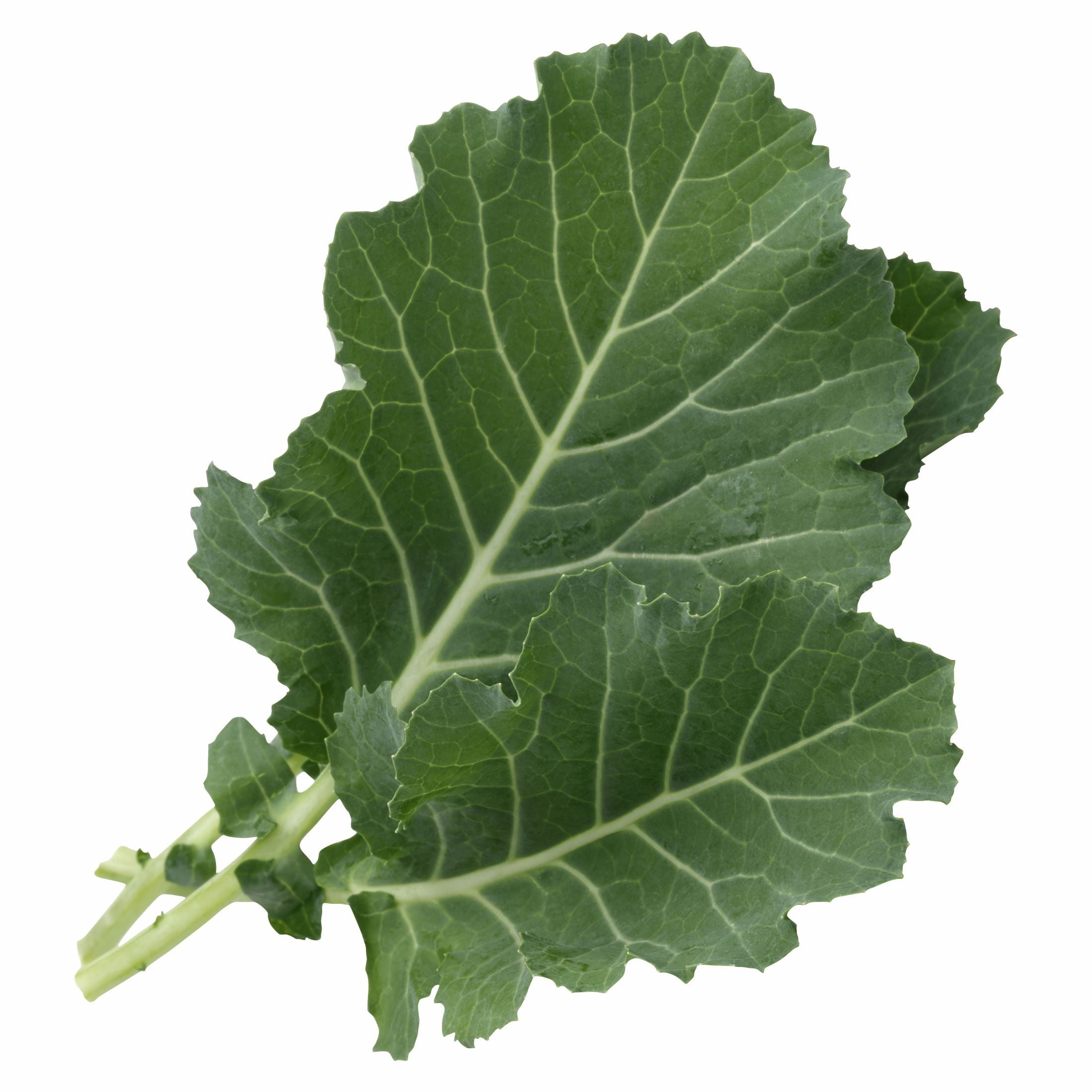 Fresh Collard Greens Bunch Each