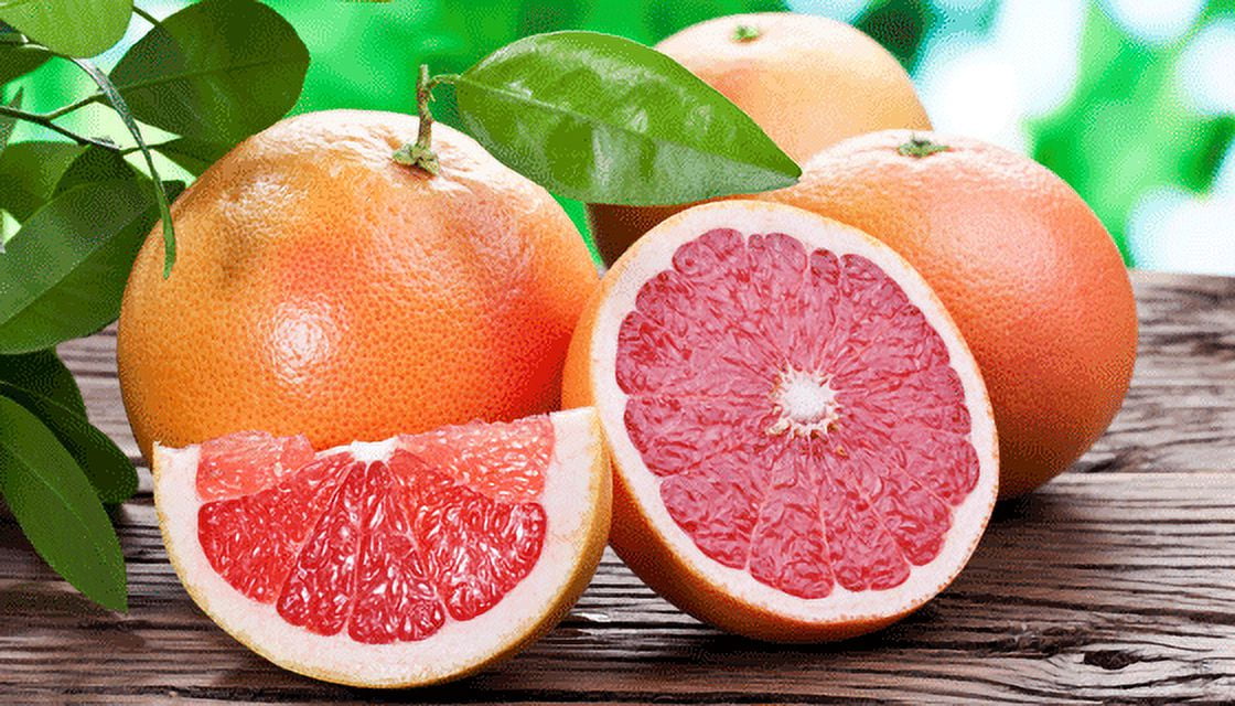 Fresh Red Grapefruit 5 Lb Bag