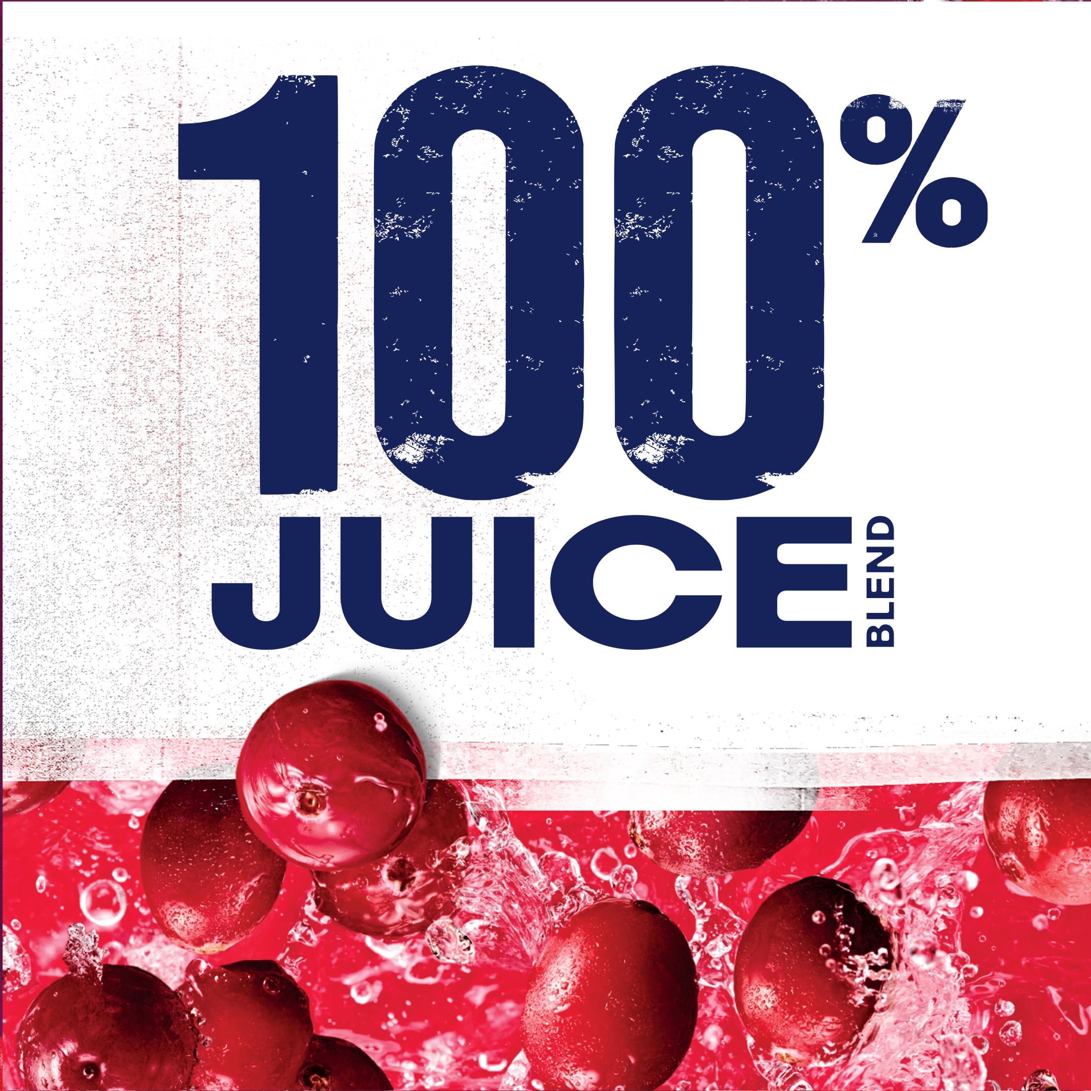 Ocean Spray 100% Juice Cranberry Juice Blend 10 fl oz Bottles 6 Count
