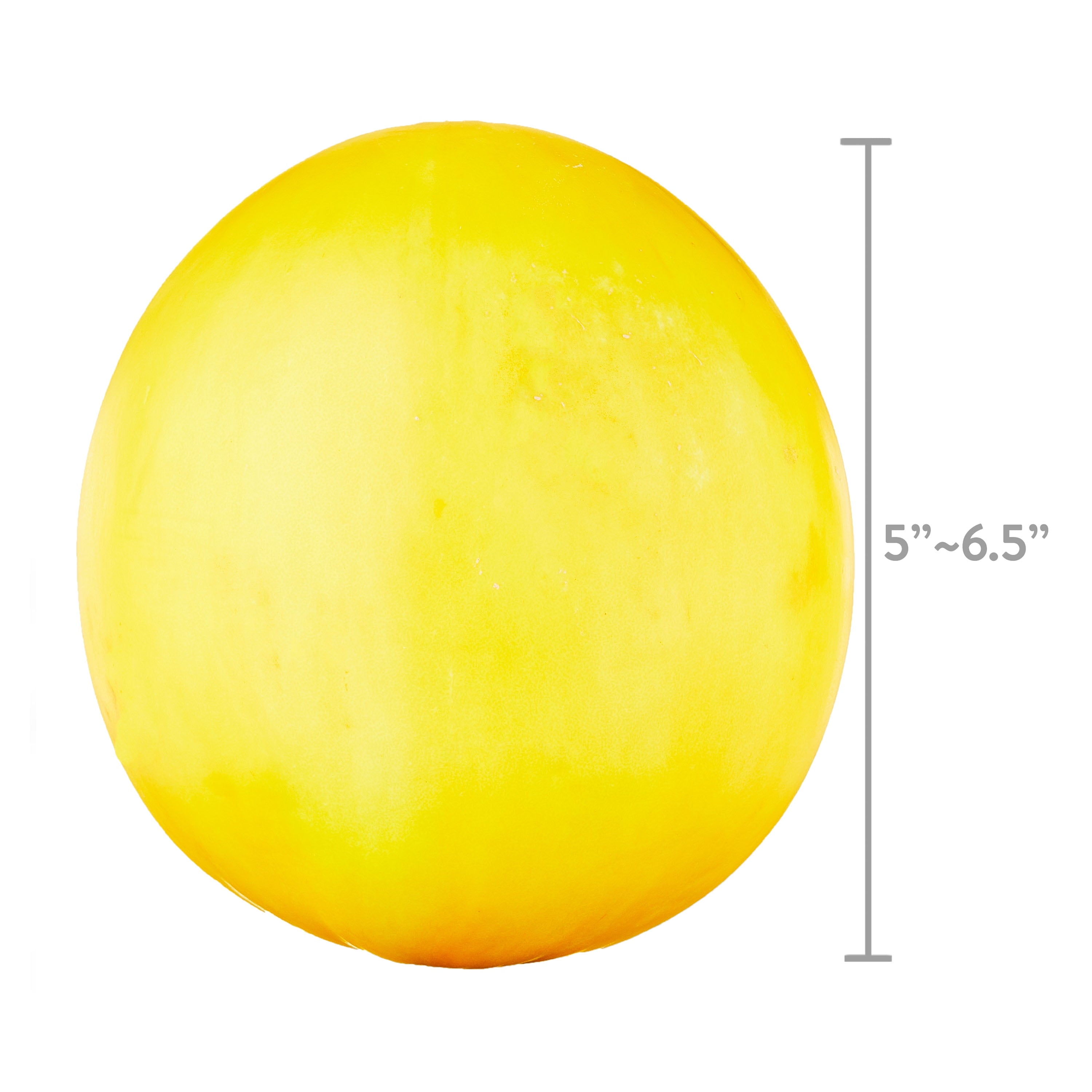 Fresh Golden Melon Honeydew Each 1 Count