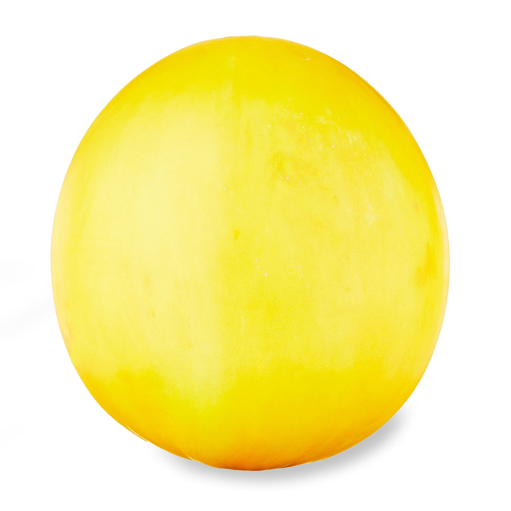 Fresh Golden Melon Honeydew Each 1 Count