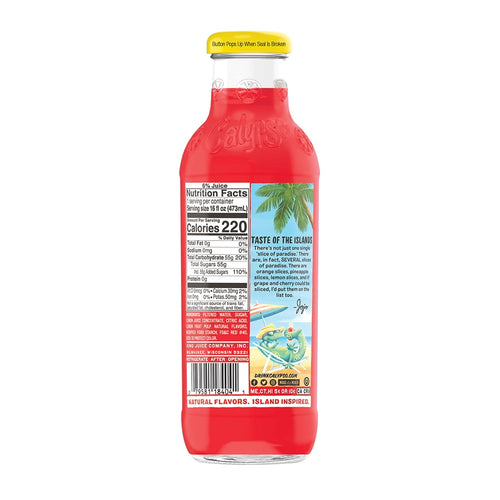 Calypso Paradise Punch Lemonade 16 fl oz