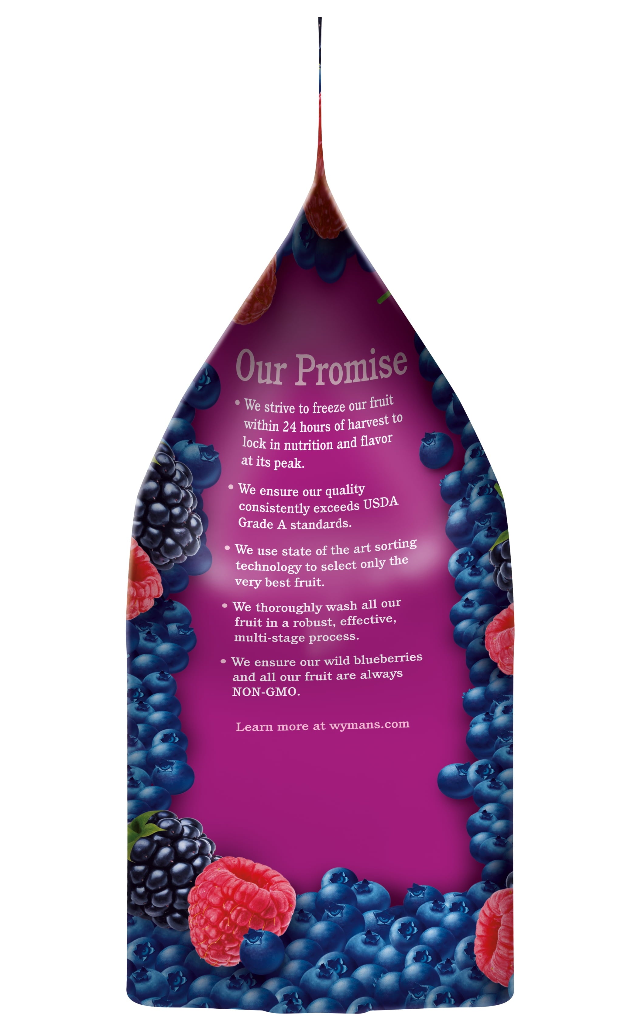 Wyman's Triple Berry Blend Frozen Blueberries Blackberries Raspberries 48 Oz