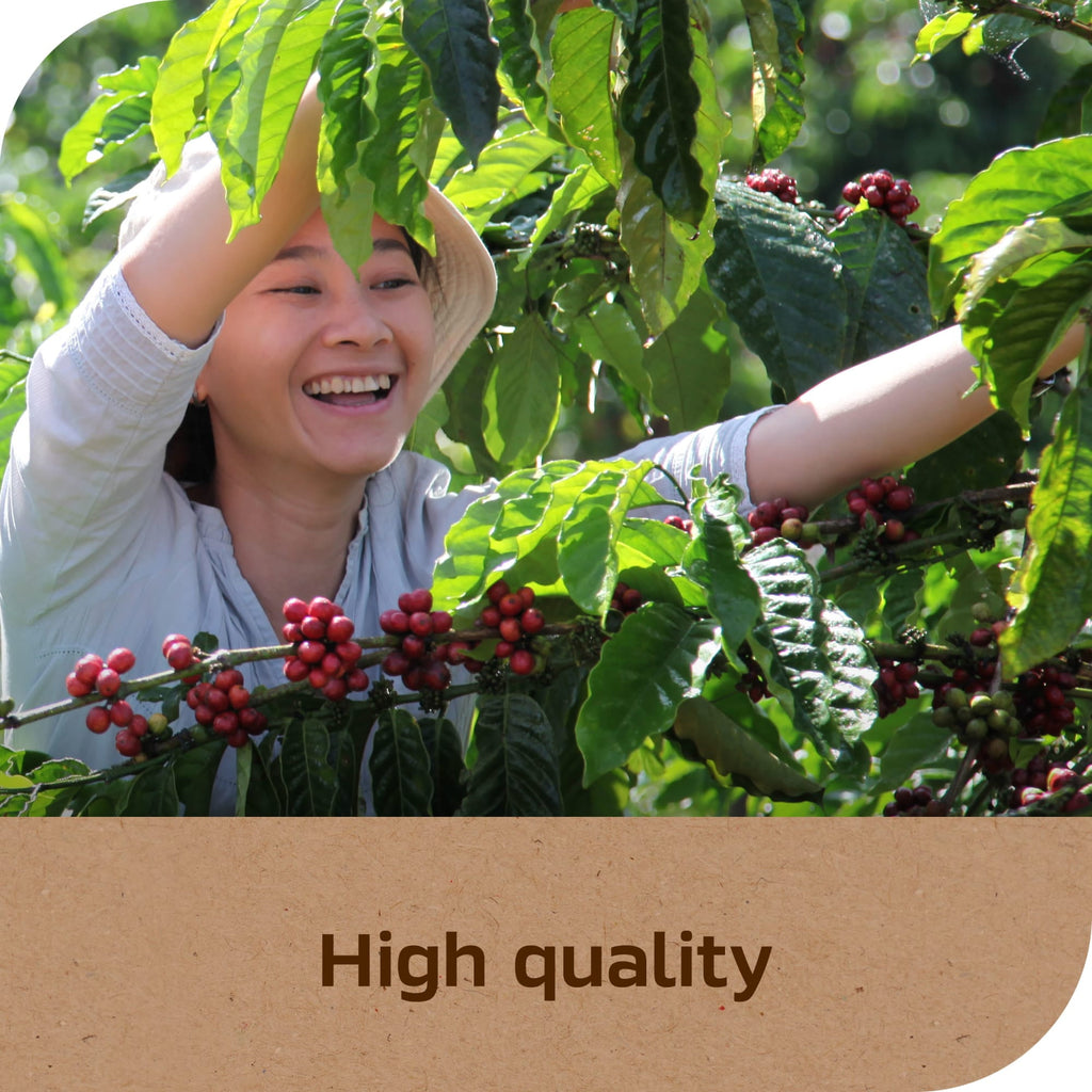 NESCAFÉ Taster's Choice House Blend Naturally Caffeinated Light Medium Roast Instant Coffee 7 oz Jar