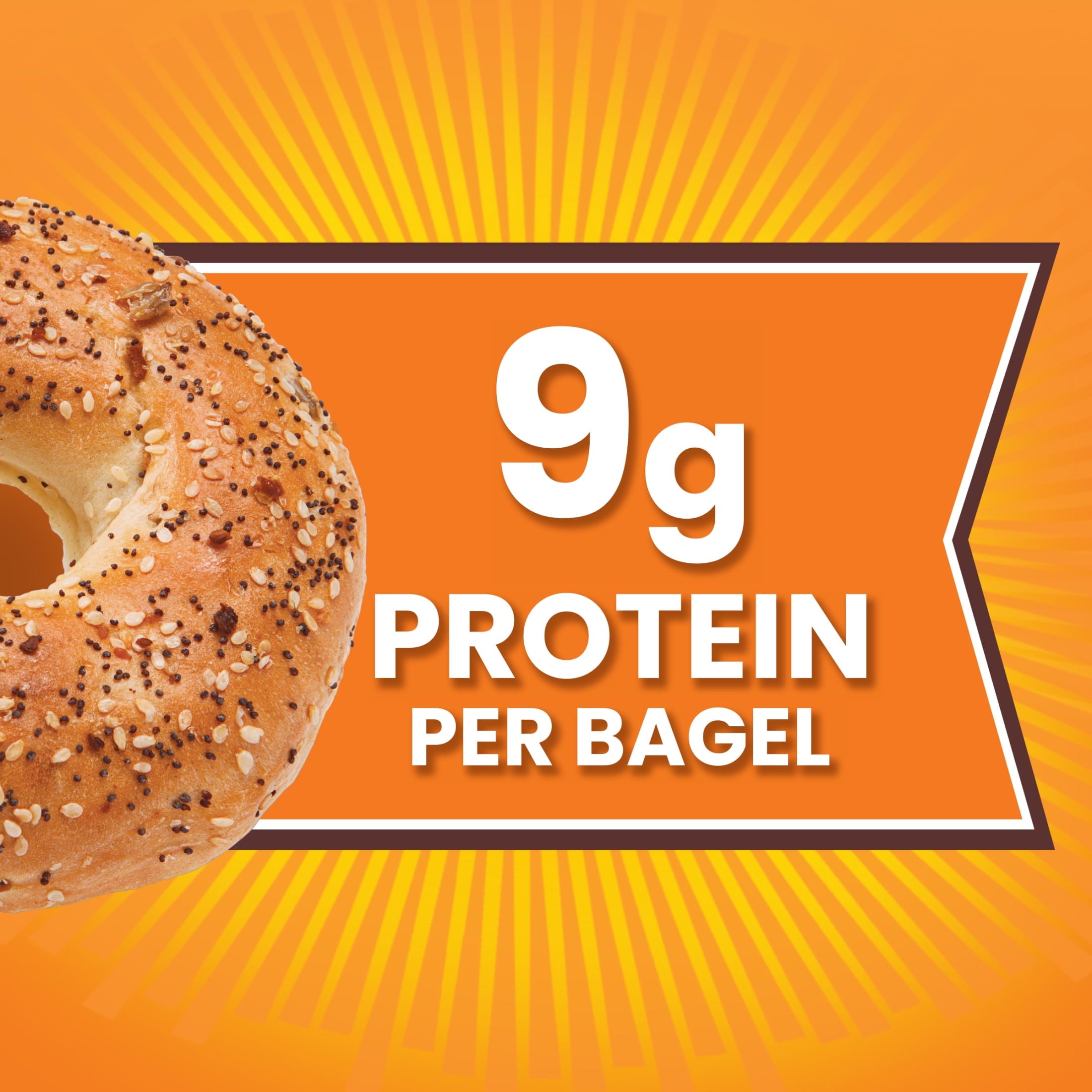 Thomas Everything Bagels 6 Count 18 Oz 9g Protein Kosher