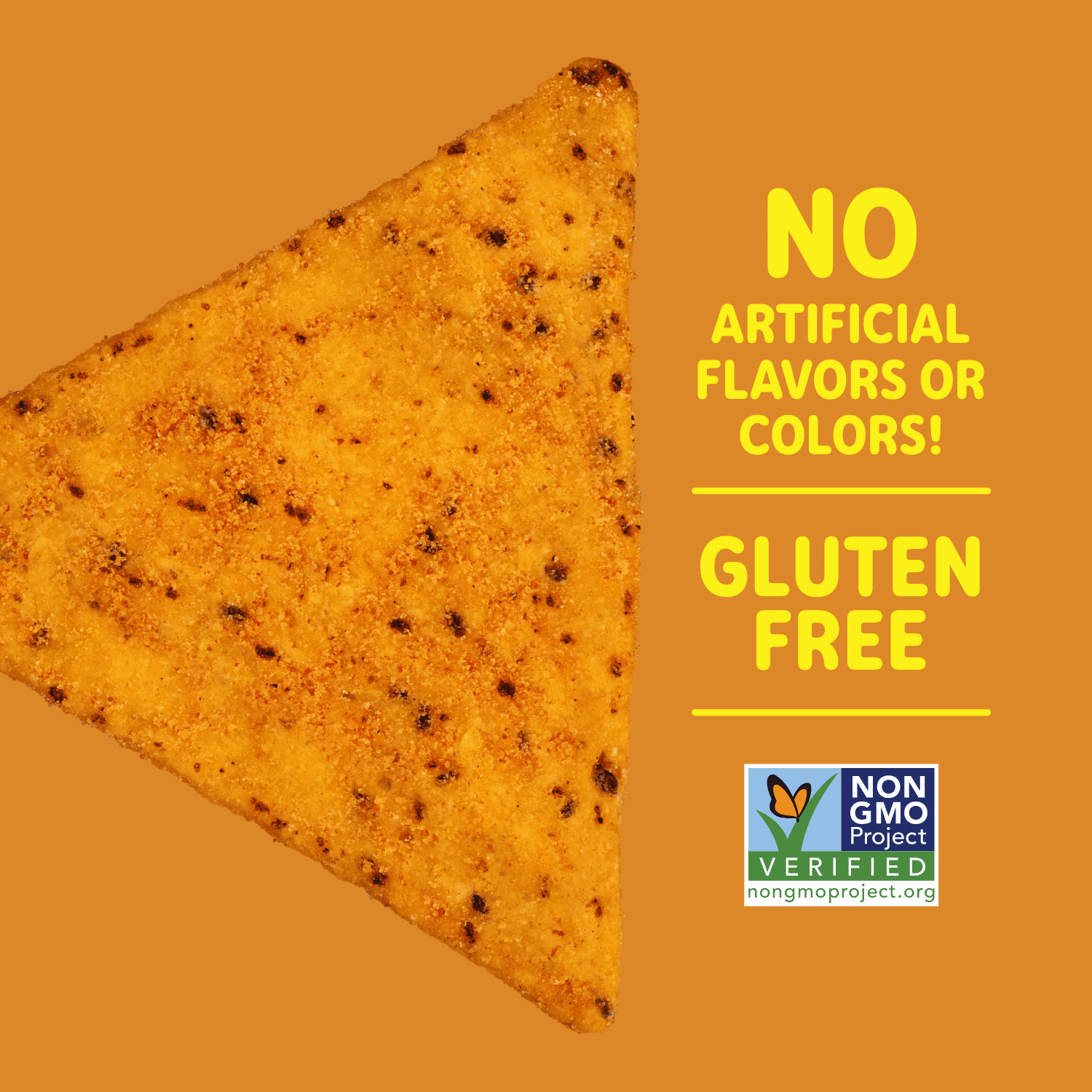 Nacho Cheeze Flavored Tortilla Chips 6 Oz Good Eat'n